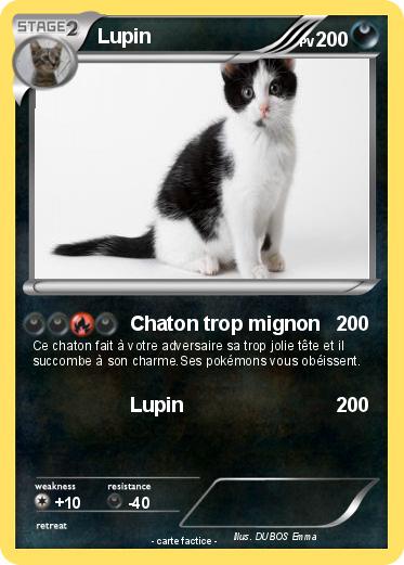 Pokemon Lupin
