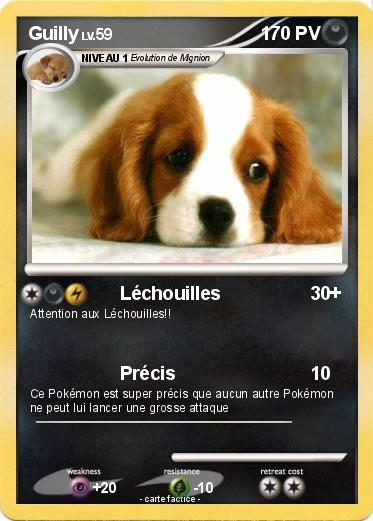 Pokemon Guilly