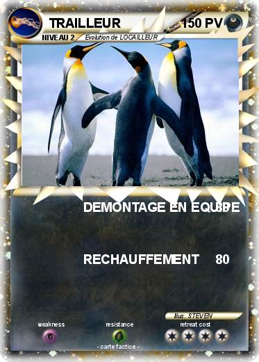 Pokemon TRAILLEUR