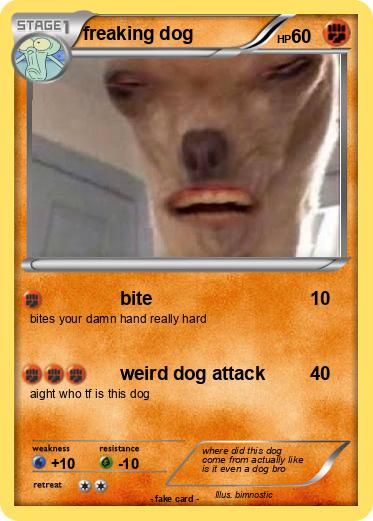 Pokemon freaking dog