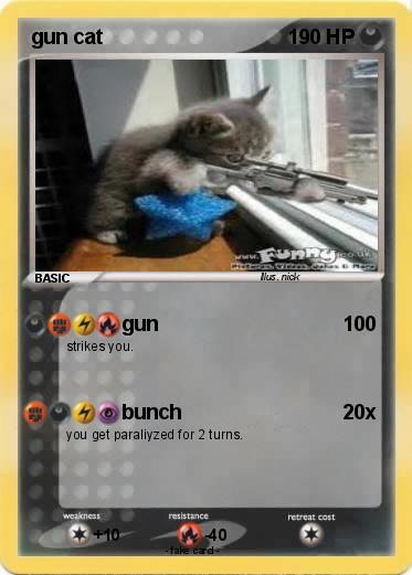 Pokemon gun cat