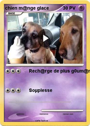 Pokemon chien m@nge glace