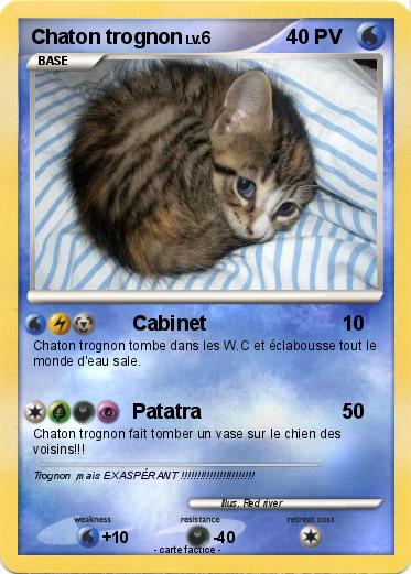 Pokemon Chaton trognon