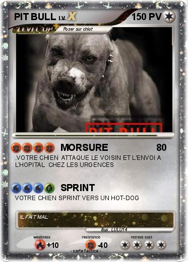 Pokemon PIT BULL