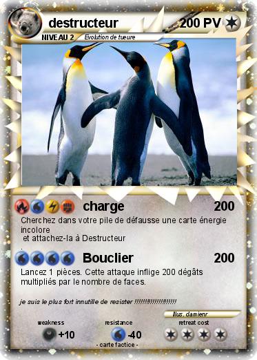 Pokemon destructeur