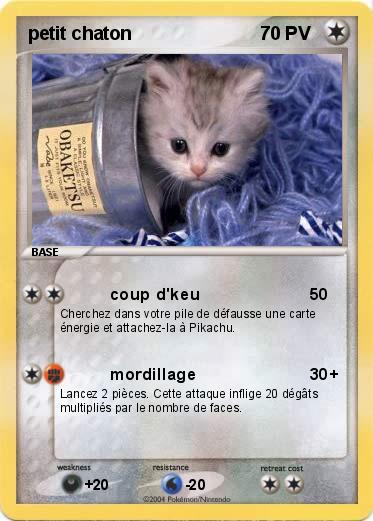Pokemon petit chaton