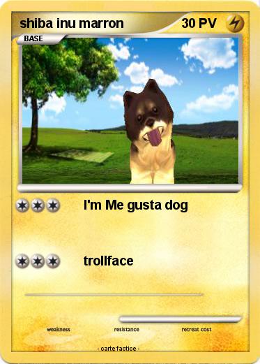 Pokemon shiba inu marron