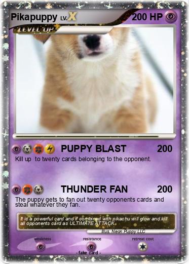 Pokemon Pikapuppy