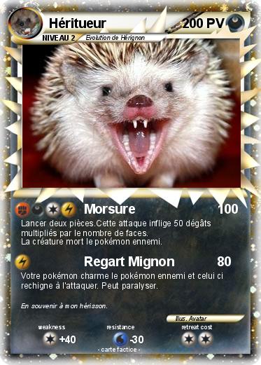 Pokemon Héritueur