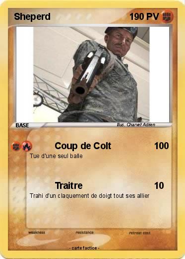 Pokemon Sheperd