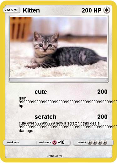 Pokemon Kitten