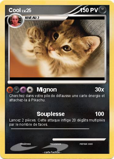 Pokemon Cool