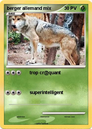 Pokemon berger allemand mix