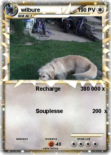 Pokemon wilbure