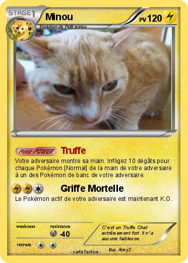 Pokemon Minou