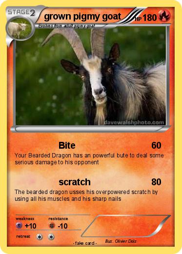 Pokemon grown pigmy goat