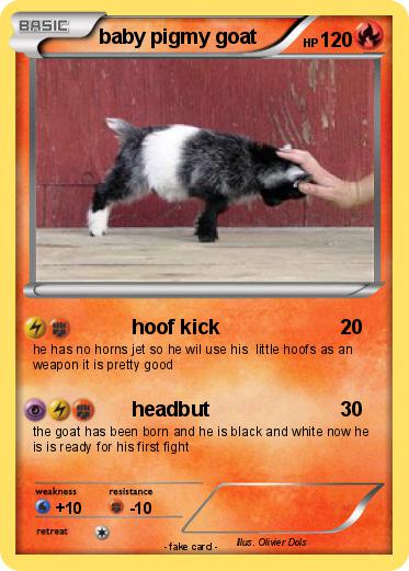 Pokemon baby pigmy goat