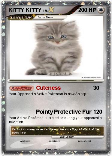 Pokemon KITTY KITTY