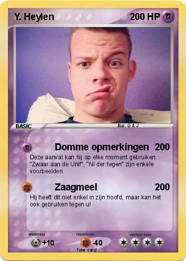 Pokemon Y. Heylen