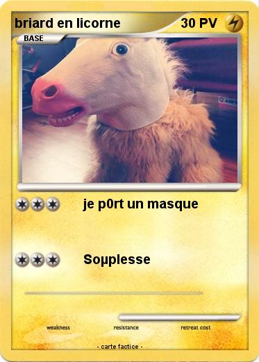 Pokemon briard en licorne