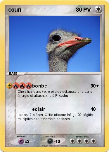 Pokemon couri  