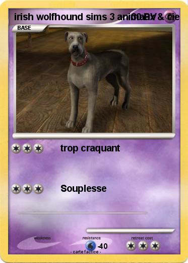 Pokemon irish wolfhound sims 3 animaux & cie