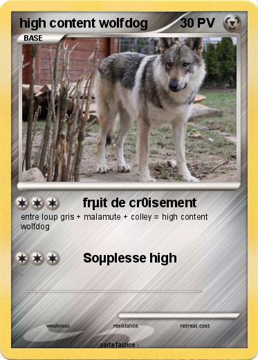 Pokemon high content wolfdog