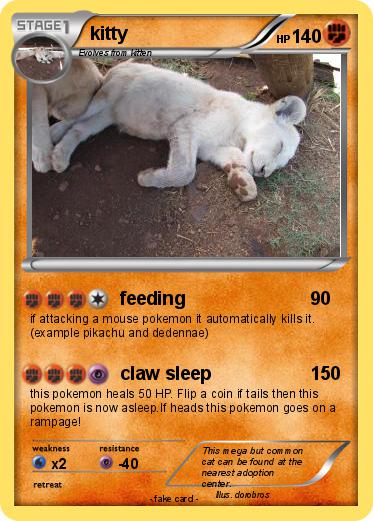 Pokemon kitty