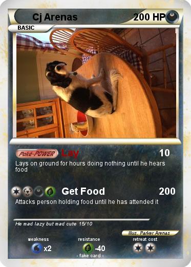 Pokemon Cj Arenas