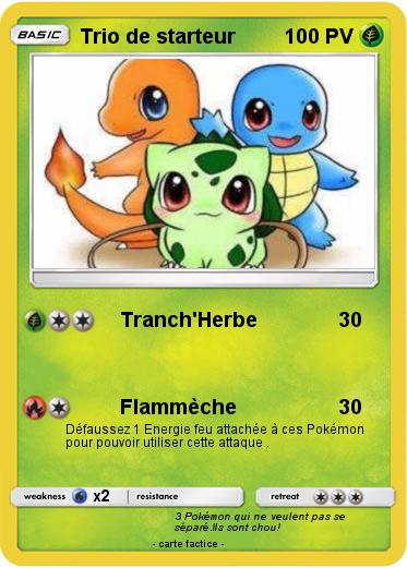 Pokemon Trio de starteur