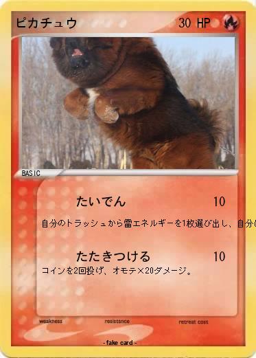 Pokemon ピカチュウ