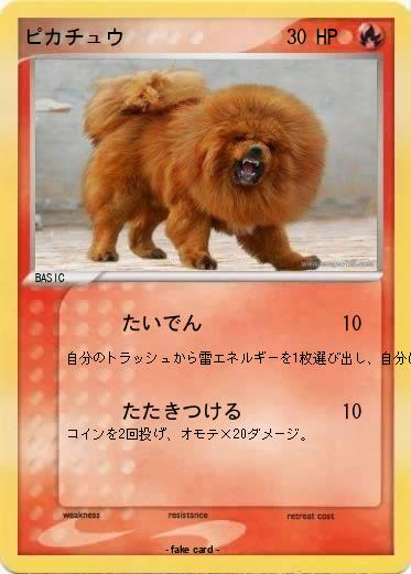 Pokemon ピカチュウ