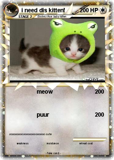 Pokemon i need dis kitten!