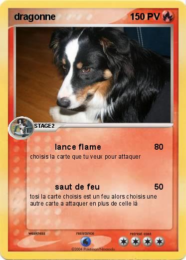 Pokemon dragonne