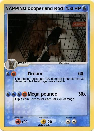 Pokemon NAPPING cooper and Kodi