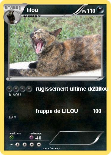Pokemon lilou