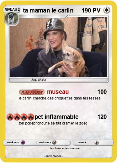 Pokemon ta maman le carlin