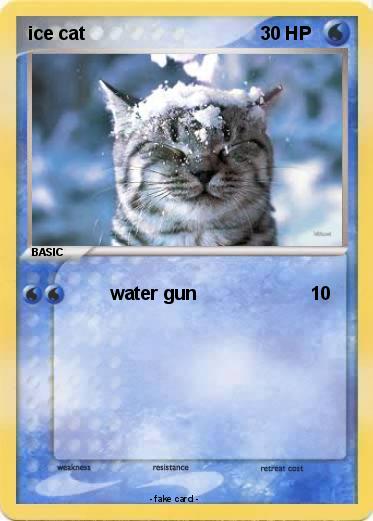 Pokemon ice cat