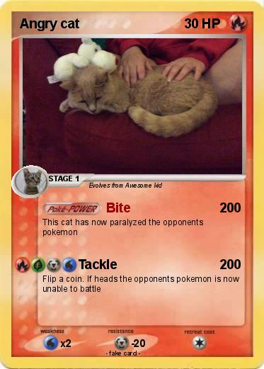 Pokemon Angry cat