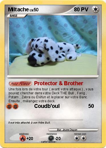 Pokemon Miltache