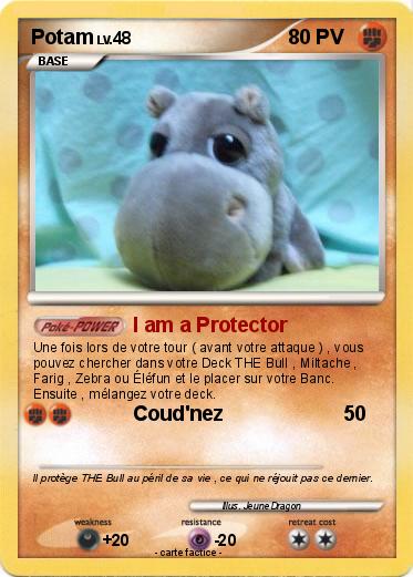 Pokemon Potam