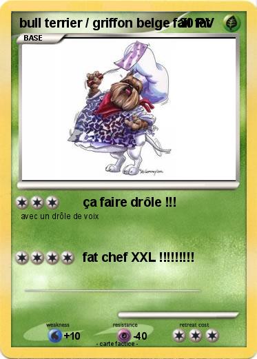 Pokemon bull terrier / griffon belge fail fat
