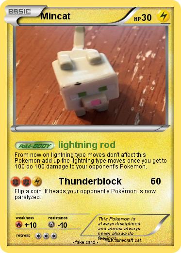 Pokemon Mincat