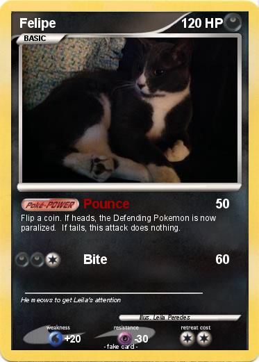 Pokemon Felipe