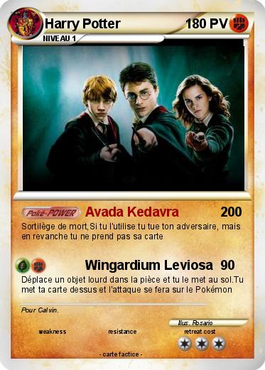 Pokemon Harry Potter