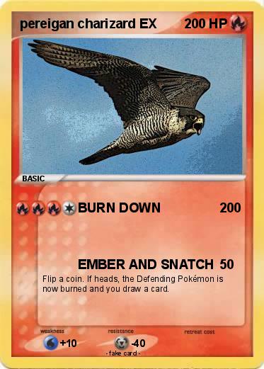 Pokemon pereigan charizard EX