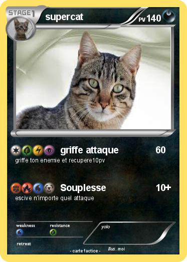Pokemon supercat