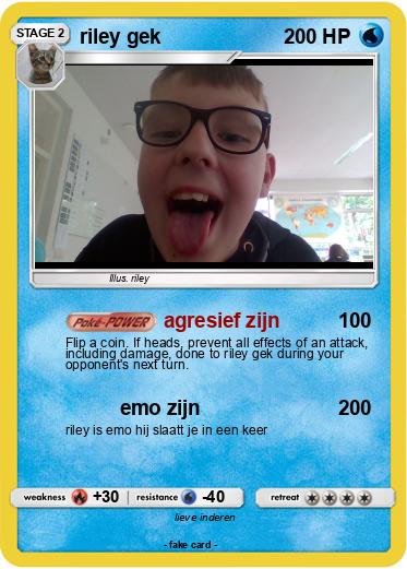 Pokemon riley gek