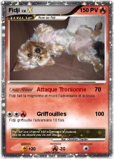 Pokemon Fidji