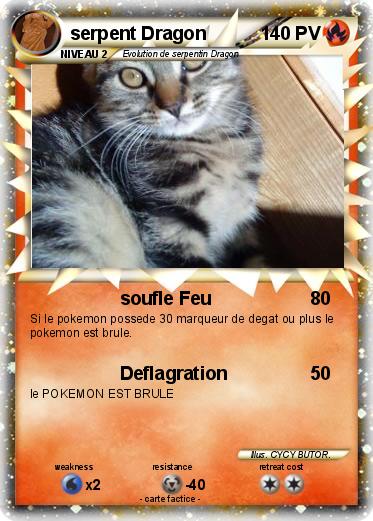 Pokemon serpent Dragon